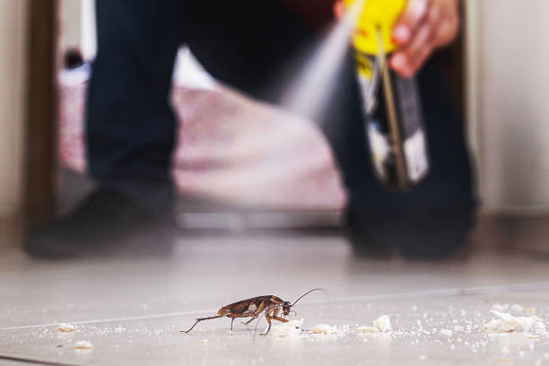Best Mosquito Control Services  in Dearborn, MI