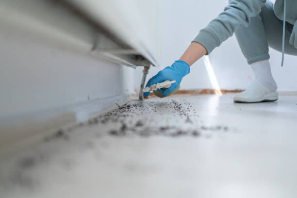 Trusted Dearborn, MI Pest Control Experts